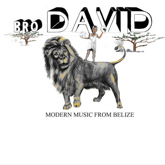 Bro David - Modern Music From Belize