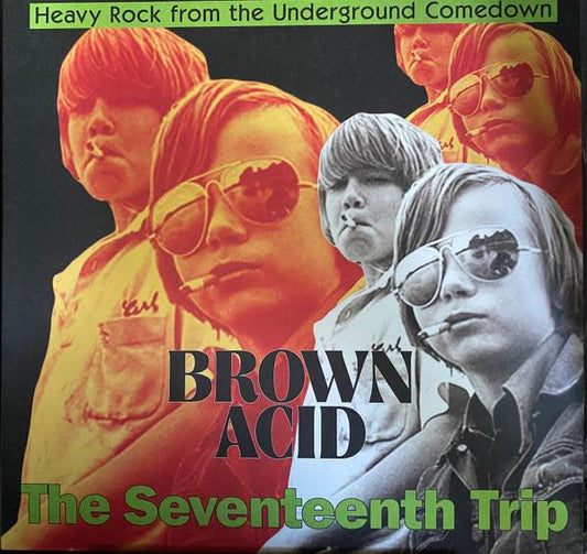 Various: Brown Acid - The Seventeenth Trip LP