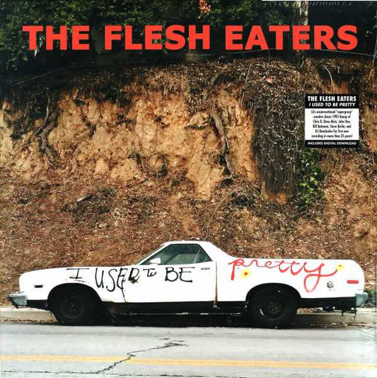 Flesh Eaters, The - I Used To Be Pretty