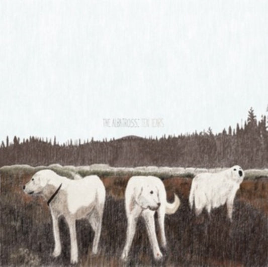 Foxing - The Albatross: Ten Years LP