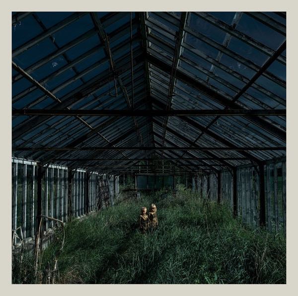 Foxing - Dealer LP