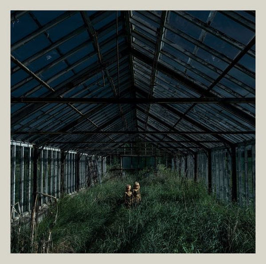 Foxing - Dealer LP