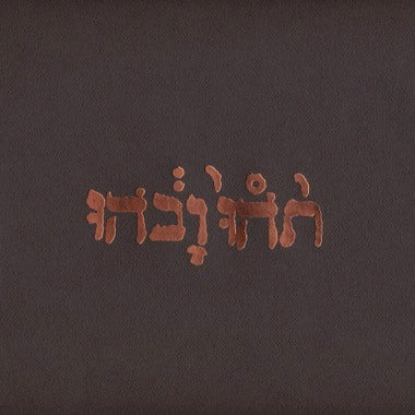 Godspeed You! Black Emperor - Slow Riot For New Zero Kanada LP