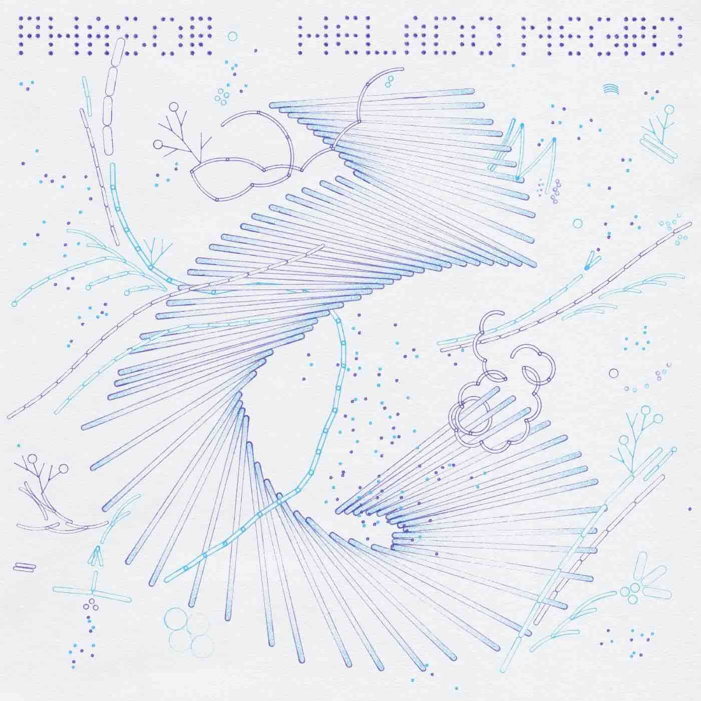 Negro, Helado - Phasor LP