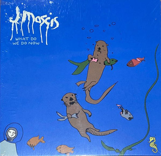 Mascis, J - What Do We Do Now LP