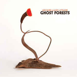 Baird, Meg & Mary Lattimore - Ghost Forests LP