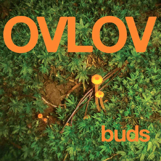 Ovlov - Buds LP