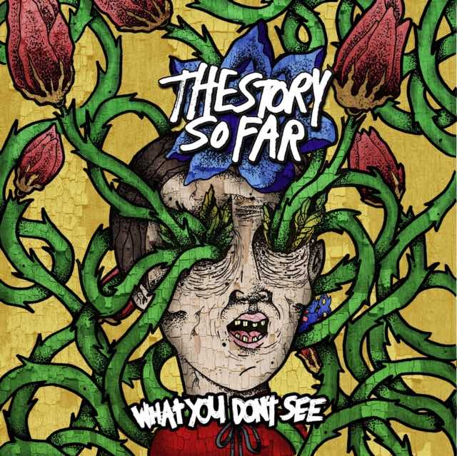 Story So Far, The - What You Don't See LP