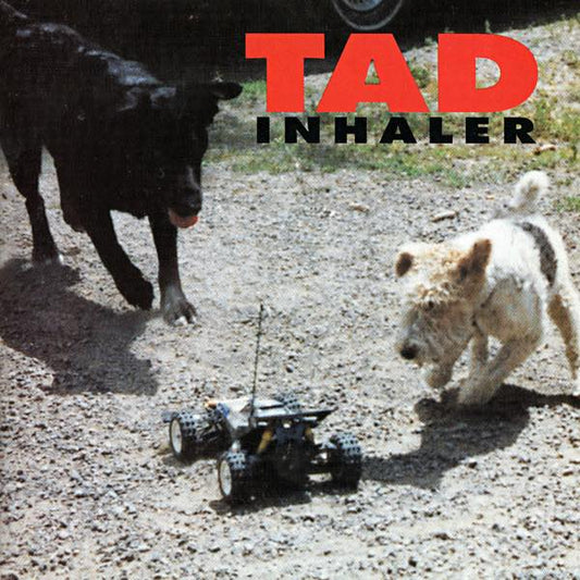 Tad - Inhaler LP